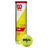 Фото #4 товара WILSON Championship Extra Duty Tennis Ball