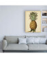 Фото #3 товара George Brookshaw Brookshaw Antique Pineapple I Canvas Art - 36.5" x 48"