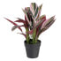 Фото #1 товара Декоративное растение BB Home 44 х 39 х 48 см Розовый Зеленый PVC