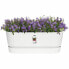 Ящик для цветов Elho Planter White 50 cm Plastic