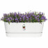 Фото #5 товара Ящик для цветов Elho Planter White 50 cm Plastic