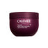 Фото #1 товара CAUDALÍE Vinosculpt 250ml Balm