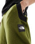 Фото #4 товара The North Face NSE Fleeski fleece joggers in olive