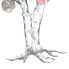 Wanddeko Love Tree