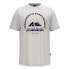 Фото #1 товара NAPAPIJRI S-Freestyle 1 short sleeve T-shirt