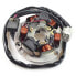 Фото #1 товара TECNIUM SM/SX 50cc stator