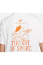 Фото #8 товара Sportswear Art Is Sport LBR Short-Sleeve Erkek Tişört FB9798-100