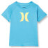 ფოტო #1 პროდუქტის HURLEY Ombre Icon UPF long sleeve T-shirt