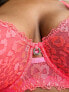 Фото #3 товара Simply Be neon animal print bra in pink