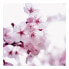 Фото #1 товара Leinwandbild Cherry Blossom