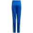 Фото #2 товара Adidas Squadra 21 Training Pant Youth Jr GP6449