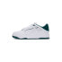 Puma Slipstream