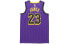 Фото #2 товара Nike NBA LeBron James 城市版球衣 SW球迷版 湖人 詹姆斯 23号 男款 紫色 / Кроссовки Nike LeBron James SW 23 AJ4618-510
