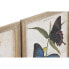 Фото #2 товара Картина DKD Home Decor Бабочки 40 x 2 x 50 cm Shabby Chic (4 Предметы)