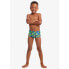 Фото #4 товара FUNKY TRUNKS Printed Swim Boxer