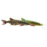 Фото #5 товара SAVAGE GEAR 4D Line Thru Pike Slow Sinking Soft Lure 250 mm 110g