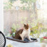 Фото #8 товара INNOVAGOODS Catlax Hanging Cat Hammock