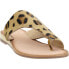 Фото #3 товара COCONUTS by Matisse Whitney Leopard Flat Womens Brown Casual Sandals WHITNEY-LE