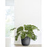 Фото #3 товара Oslo Durable Indoor and Outdoor Planter, 17.75in