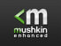 Mushkin Essentials - 64 GB - 2 x 32 GB - DDR4 - 3200 MHz