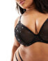 Фото #4 товара Ivory Rose Curve high apex sheer mesh bra in black lurex spot