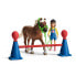 Playset Schleich Farm World