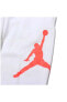 Фото #2 товара Jordan Jumpman Logo Fleece Erkek Eşofman Altı