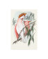 John Gould Pastel Parrots I Canvas Art - 37" x 49"
