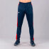 Фото #2 товара JOMA Champion IV Tracksuit