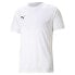 PUMA TeamLIGA short sleeve T-shirt