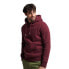 Фото #1 товара SUPERDRY Vintage Logo Embroidered hoodie