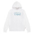 LEVI´S ® KIDS Palm Batwing Fill hoodie