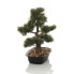 Фото #4 товара Kunstpflanze BONSAI