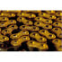 RENTHAL 1077502003 Chain