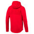 Фото #5 товара [580332-11] Mens Puma EVOSTRIPE HOODY