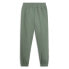 Puma Essentials Elevated Sweatpants Mens Green Casual Athletic Bottoms 68321744