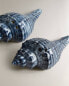 Conch shell salt and pepper shaker set