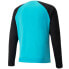 Фото #2 товара Goalkeeper jersey Puma teamPACER GK LS M 704933 40