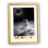Фото #1 товара Zep KG5 - Plastic - Gold - Single picture frame - Wall - 30 x 40 cm - Rectangular