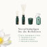 RITUALS The Ritual of Jing - With Sacred Lotus & Jujube - Relaxing and Calming