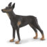 Фото #1 товара Фигурка Collecta Collected Dobermann Dog Figure Pets (Домашние животные)