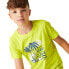 REGATTA Bosley VII short sleeve T-shirt