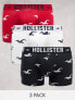 Hollister 3 pack trunks all over icon logo in white/red/black