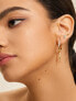 ANIA HAIE Hoop earrings Tough Love E049-05T