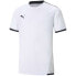 Фото #1 товара Puma teamLIGA Jersey Jr. 704925 04