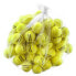 Фото #1 товара DUNLOP Training Tennis Balls Bag
