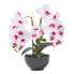 Фото #1 товара Künstliche weiß-pinke Phalaenopsis