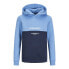 Фото #2 товара JACK & JONES Ryder Blocking hoodie