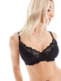 Фото #1 товара Ivory Rose fuller bust lace underwired plunge bra in black