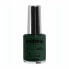 Фото #1 товара лак для ногтей Andreia Hybrid Fusion H65 (10,5 ml)